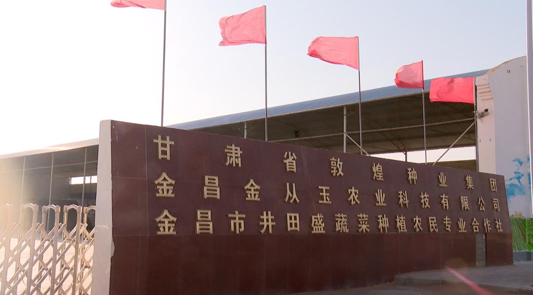 敦煌种业引领农业科技创新，开启种业新篇章的公告