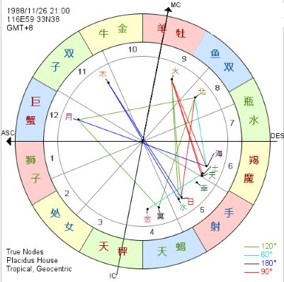 启程寻找内心的宁静绿洲，最新星座日期指南