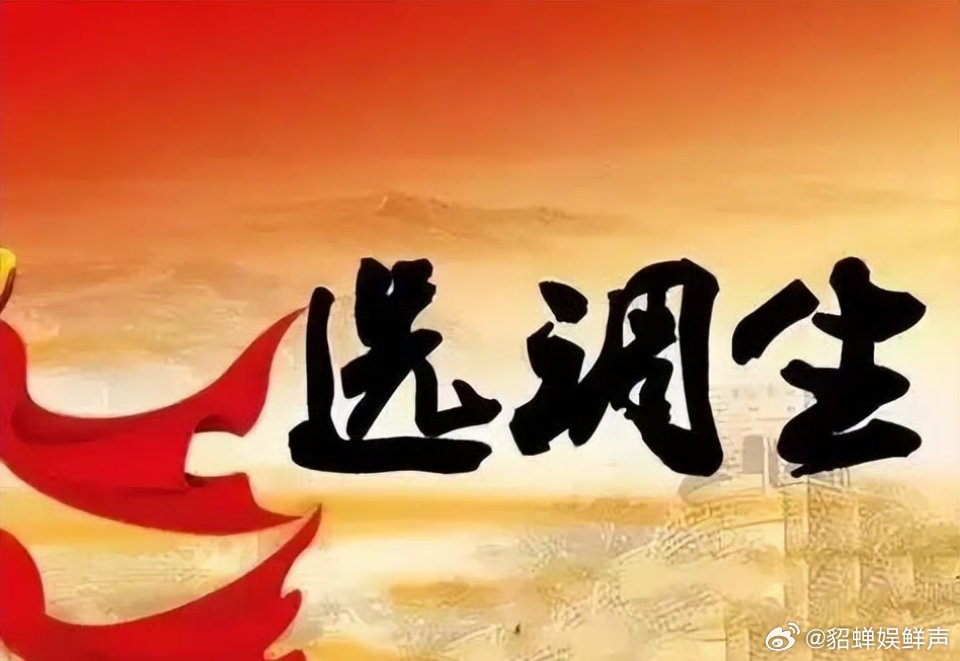 最新选调生观点阐述，年轻人的政治担当与社会责任