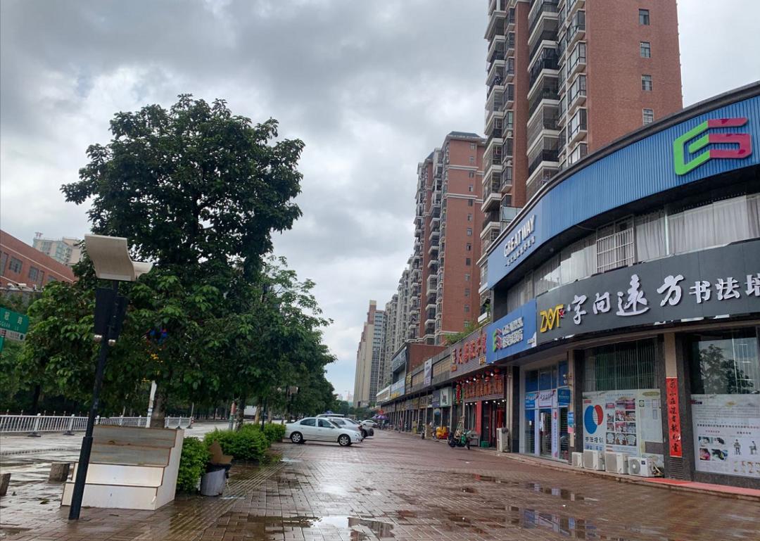 惠州新力城最新房价动态，变化中的学习与自信的力量