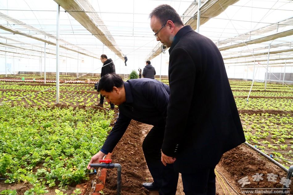 精准信息最新动态，引领时代的高科技产品揭秘