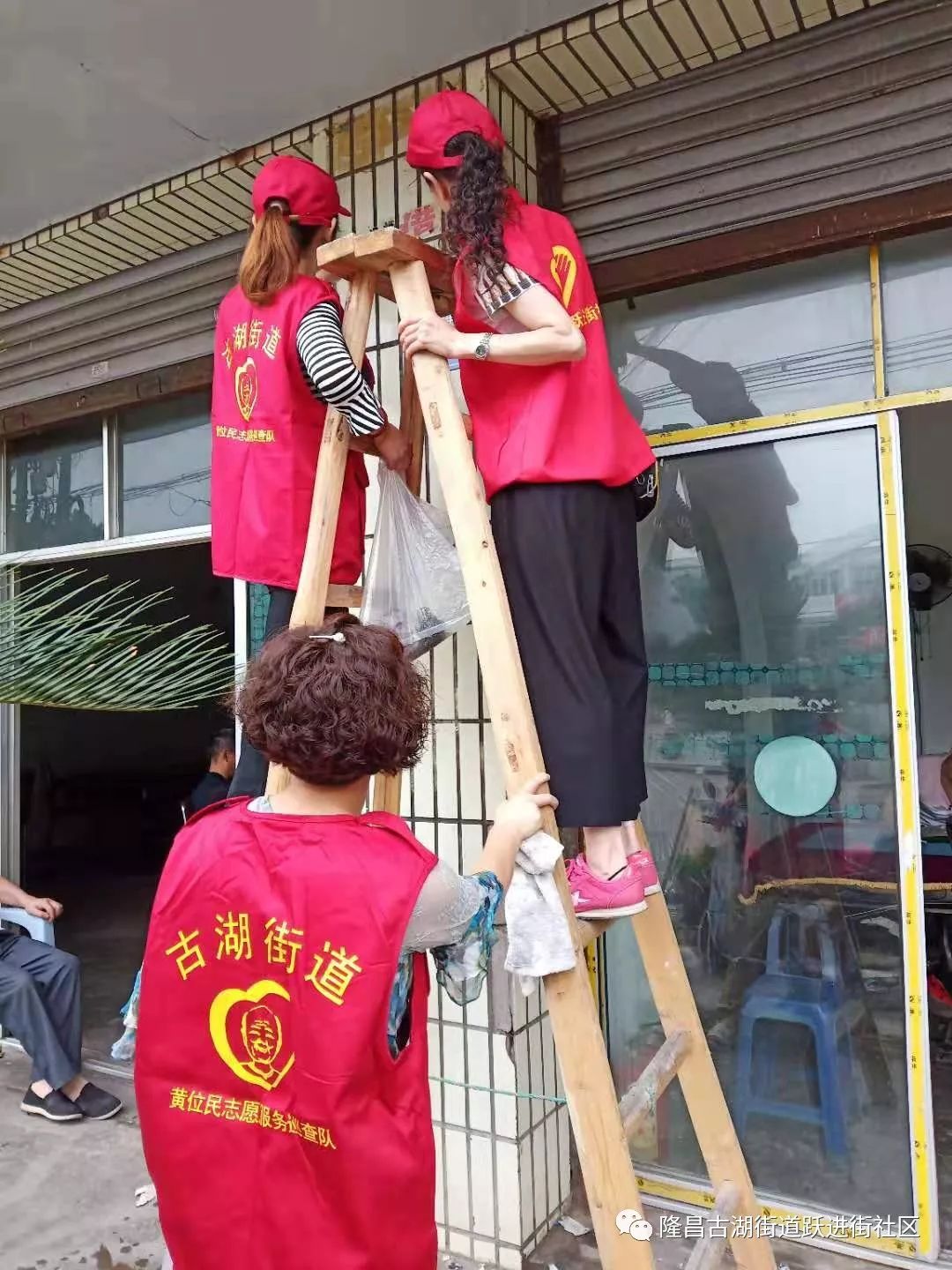 揭秘城市中的顽强生命，蟑螂社区最新动态观察