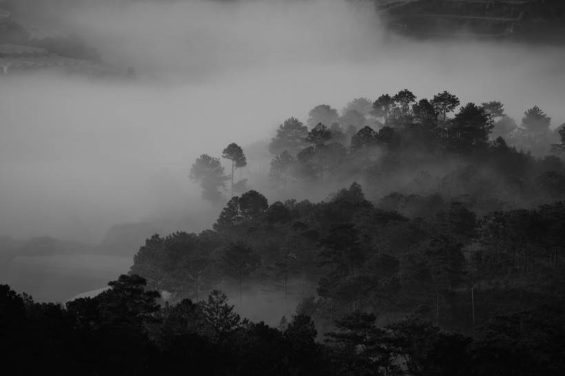 君子社最新，自然美景的轻松探索之旅