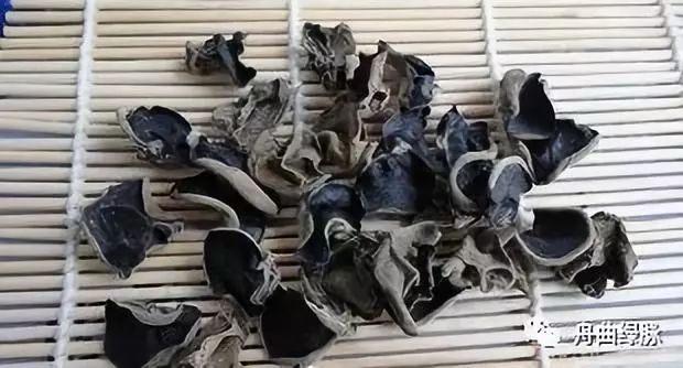 假木耳最新背后的学习力量与自我超越喜悦的启示
