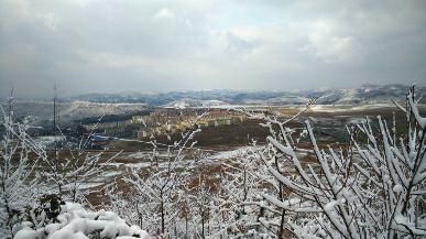 最新延安雪,最新延安雪